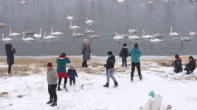 Лебеді, Івано-Франківщина, люди Лебеді, Івано-Франківщина, люди