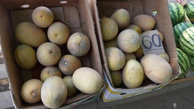 Перші кавуни та дині на херсонських ринках. Чи поспішають люди купувати Перші кавуни та дині на херсонських ринках. Чи поспішають люди купувати