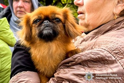 Атака армії РФ на Рівненщину вночі 16 жовтня. Що відомо про наслідки Атака армії РФ на Рівненщину вночі 16 жовтня. Що відомо про наслідки