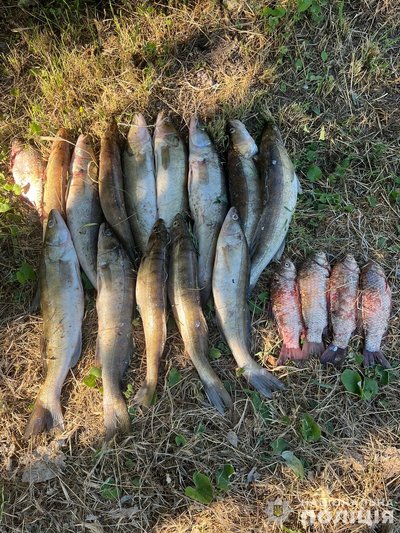 День жалоби в Кривому Розі, "шахеди" над областю, обстріли Нікопольщини. Головні новини Дніпра та області 14 червня День жалоби в Кривому Розі, "шахеди" над областю, обстріли Нікопольщини. Головні новини Дніпра та області 14 червня