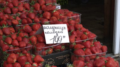 Полуниця на ринках Житомира: ціни, сорти та попит Полуниця на ринках Житомира: ціни, сорти та попит