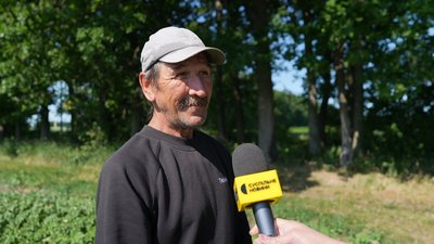 "Збір зерна буде меншим": чи буде Сумщина з урожаєм