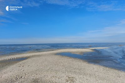 "Рашисти винні, що наші червонокнижні тварини гинули": як війна змінила нацпарк на Одещині "Рашисти винні, що наші червонокнижні тварини гинули": як війна змінила нацпарк на Одещині
