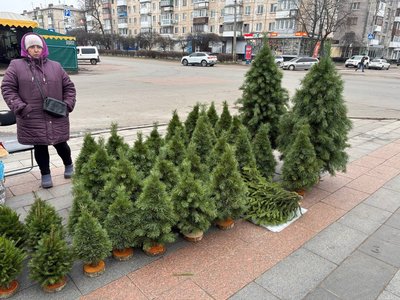 Ялинкові ярмарки у Житомирі: ціни на ялинки та що обирають містяни цього року Ялинкові ярмарки у Житомирі: ціни на ялинки та що обирають містяни цього року