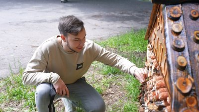 У Вінниці встановили будиночки для комах У Вінниці встановили будиночки для комах
