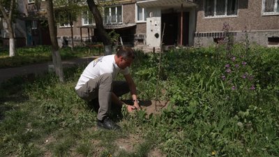 У Чернігові звільнений з полону ветеран висадив дерева на честь полеглих побратимів, але частину з них украли У Чернігові звільнений з полону ветеран висадив дерева на честь полеглих побратимів, але частину з них украли