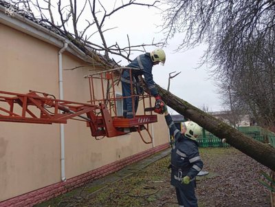 Вітер повалив дерева і залишив без світла: наслідки негоди на Житомирщині