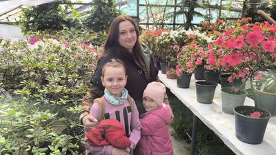 "Найбільша колекція в області". У ботсаду Кривого Рогу розцвіла азалія індійська "Найбільша колекція в області". У ботсаду Кривого Рогу розцвіла азалія індійська