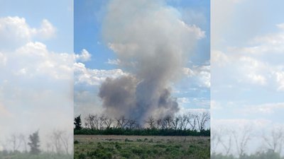 Горить ліс: армія РФ обстріляла околиці Лиману Горить ліс: армія РФ обстріляла околиці Лиману