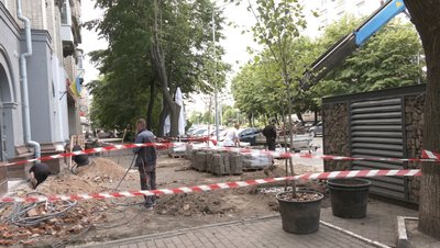 "Робили тінь людям": у Черкасах біля кафе в центрі міста зрізали липи "Робили тінь людям": у Черкасах біля кафе в центрі міста зрізали липи