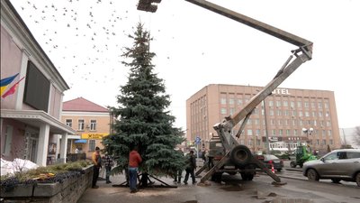На Черкащині подружжя подарувало місту ялинку до різдвяних та новорічних свят