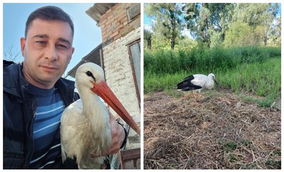 Сім'я Деружинських залишила лелеку перезимувати у себе Сім'я Деружинських залишила лелеку перезимувати у себе