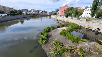 Річка Харків, впав рівень води Річка Харків, впав рівень води