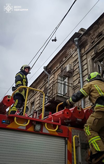 Голуб застяг у дротах Одеса Голуб застяг у дротах Одеса