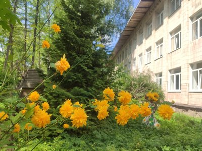 дендрарій, квіти, школа дендрарій, квіти, школа