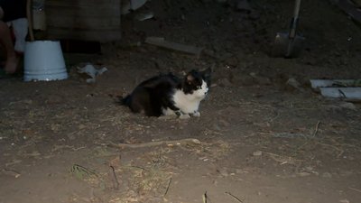 "Спокою хочу і життя нормального": як люди живуть у Торецьку "Спокою хочу і життя нормального": як люди живуть у Торецьку