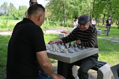 шахи, гра в шахи шахи, гра в шахи