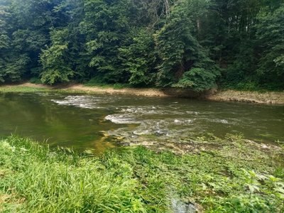 Гідрологічна посуха на Рівненщині: рівень води у Стиру та Горині опустився до критичних позначок Гідрологічна посуха на Рівненщині: рівень води у Стиру та Горині опустився до критичних позначок