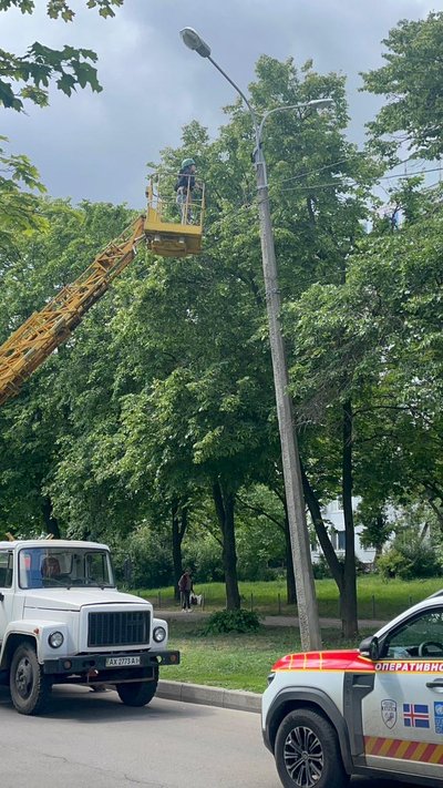 У Харкові ворона застрягла на ліхтарному стовпі У Харкові ворона застрягла на ліхтарному стовпі