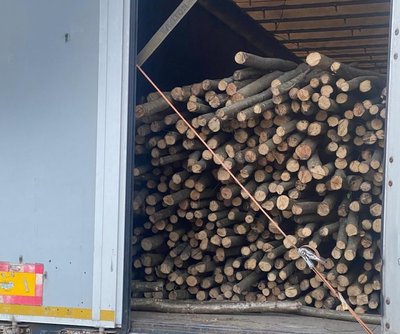 На Львівщині підприємицю підозрюють у контрабанді деревини в ЄС та в На Львівщині підприємицю підозрюють у контрабанді деревини в ЄС та в