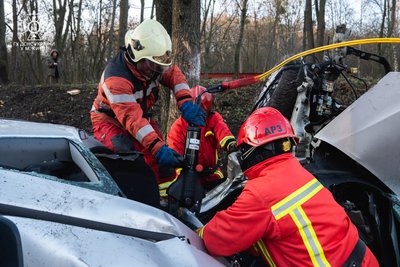 Врізався у дерево: у Києві сталася смертельна ДТП Врізався у дерево: у Києві сталася смертельна ДТП
