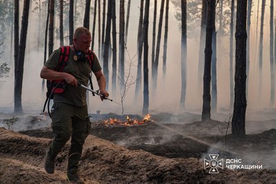 На Черкащині пʼяту добу продовжують гасити лісову пожежу На Черкащині пʼяту добу продовжують гасити лісову пожежу