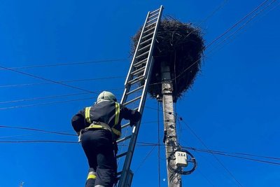 Врятували лелеку, рятувальники, Тернопільщина, червень 2024 Врятували лелеку, рятувальники, Тернопільщина, червень 2024