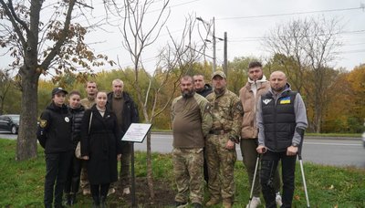 Дерево, захисник, Тернопіль