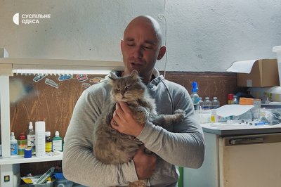 Сотні врятованих котів та собак: чому зооволонтер з Одещини допомагає тваринам Сотні врятованих котів та собак: чому зооволонтер з Одещини допомагає тваринам