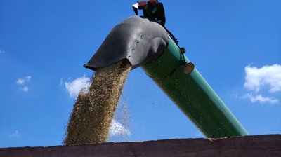 Жнива на Миколаївщині: аграрії зібрали понад 85 тисяч тонн ячменю Жнива на Миколаївщині: аграрії зібрали понад 85 тисяч тонн ячменю