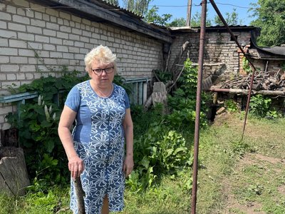 "Боюся, що вони й у дім зайдуть". У Кривому Розі на подвірʼї домогосподарства оселилася лисиця з дитинчатами "Боюся, що вони й у дім зайдуть". У Кривому Розі на подвірʼї домогосподарства оселилася лисиця з дитинчатами