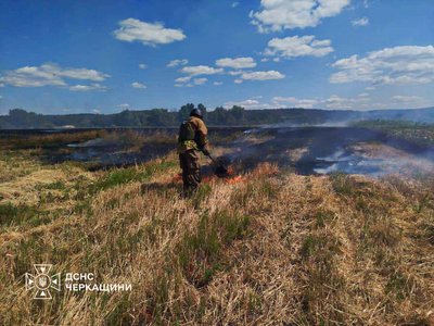 Горіли суха рослинність та трава: на Черкащині за добу сталося 29 пожеж Горіли суха рослинність та трава: на Черкащині за добу сталося 29 пожеж