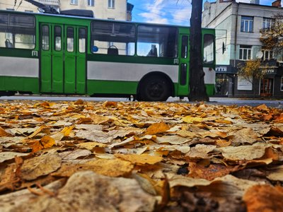 Опале листя та квітучі клумби: який вигляд має Житомир наприкінці жовтня — фоторепортаж