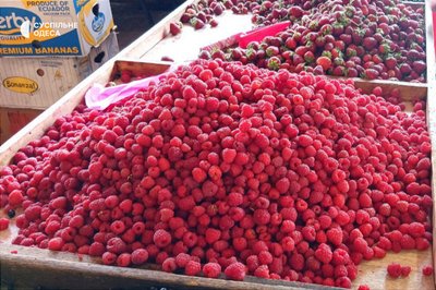 Малина на Привозі