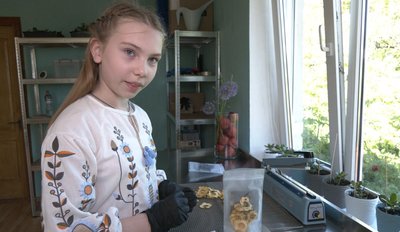 аделіна, виготовлення чипсів, яблучні чіпси