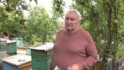 "Травневого меду не буде": як дощова погода вплинула на бджіл, пояснив пасічник з Рівненщини "Травневого меду не буде": як дощова погода вплинула на бджіл, пояснив пасічник з Рівненщини