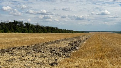Пожежі на полях через російські дрони: як на Кіровоградщині рятують врожай під час жнив Пожежі на полях через російські дрони: як на Кіровоградщині рятують врожай під час жнив
