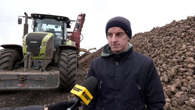 На Волині завершили збір цукрових буряків На Волині завершили збір цукрових буряків