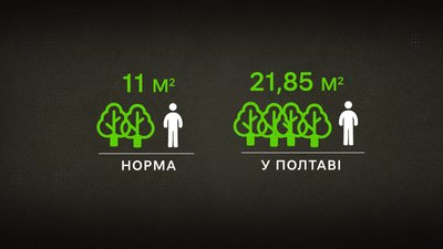 Чи достатньо у Полтаві дерев та що робити з омелою: дослідження озеленення Чи достатньо у Полтаві дерев та що робити з омелою: дослідження озеленення