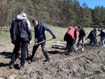 Між селами Кінчаки та Озерце на Франківщині висадили алею з тисячі кущів бузку Між селами Кінчаки та Озерце на Франківщині висадили алею з тисячі кущів бузку