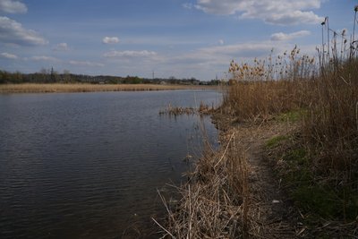 "Водойми — це дуже вразливі екосистеми". Чому на Дніпропетровщині зникають озера та чи можливо їх відновити "Водойми — це дуже вразливі екосистеми". Чому на Дніпропетровщині зникають озера та чи можливо їх відновити