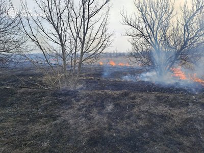 У Запорізькій області на відкритих територіях сталося дев'ять пожеж — ДСНС У Запорізькій області на відкритих територіях сталося дев'ять пожеж — ДСНС