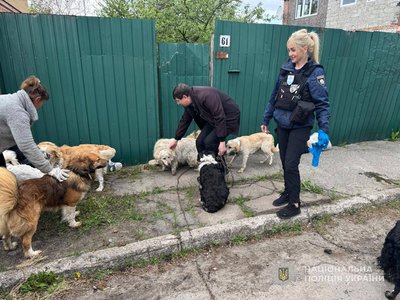 "Білі янголи" Сумщини евакуювали мешканку прикордоння з 12 собаками "Білі янголи" Сумщини евакуювали мешканку прикордоння з 12 собаками