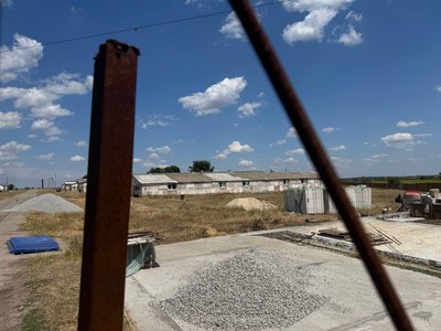 Сморід, мухи та гризуни: жителі Лугового на Дніпропетровщині скаржаться на місцеву свиноферму Сморід, мухи та гризуни: жителі Лугового на Дніпропетровщині скаржаться на місцеву свиноферму