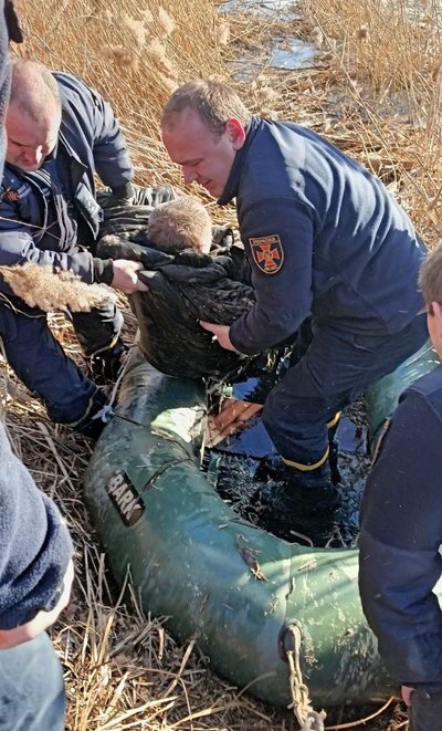 Провалився під лід: на водосховищі Житомирщини врятували рибалку Провалився під лід: на водосховищі Житомирщини врятували рибалку