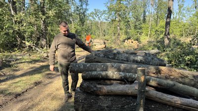 «Щоб не замерзнути взимку»: на Кіровоградщині зріс попит на дрова «Щоб не замерзнути взимку»: на Кіровоградщині зріс попит на дрова
