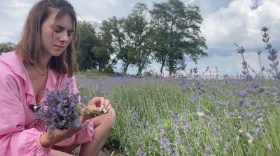 Співвласниця поля Яна Гарига, лавандове поле, град, негода Співвласниця поля Яна Гарига, лавандове поле, град, негода