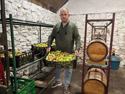 фрукти, урожай, Тарас Попенко фрукти, урожай, Тарас Попенко