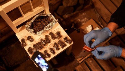 Понад 13,5 млн грн прибутку щомісяця: 11-х закарпатців підозрюють у торгівлі наркотиками Понад 13,5 млн грн прибутку щомісяця: 11-х закарпатців підозрюють у торгівлі наркотиками