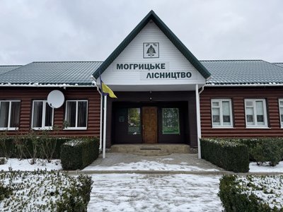 "До третини лісу доступу немає": як працюють у прикордонному лісництві на Сумщині